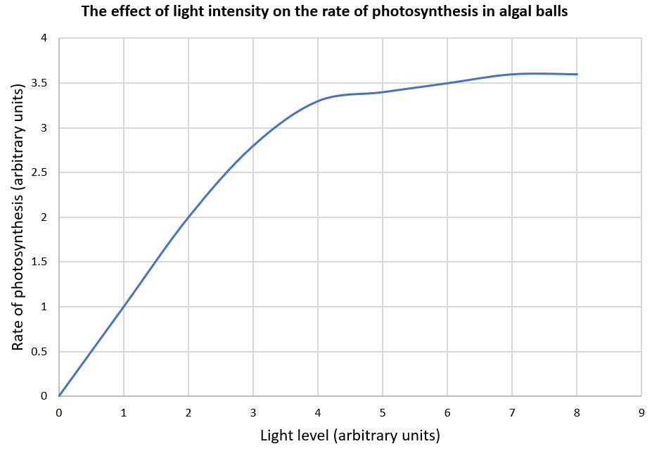 rate of photosynthesis graph