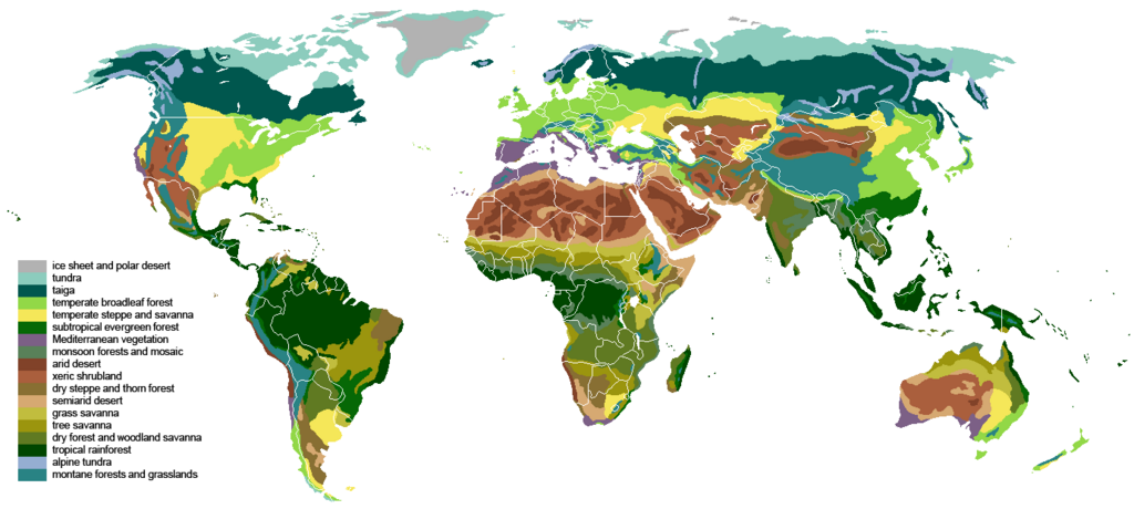 Global vegitation chart