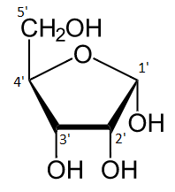 carbs and lipids unknown molecule