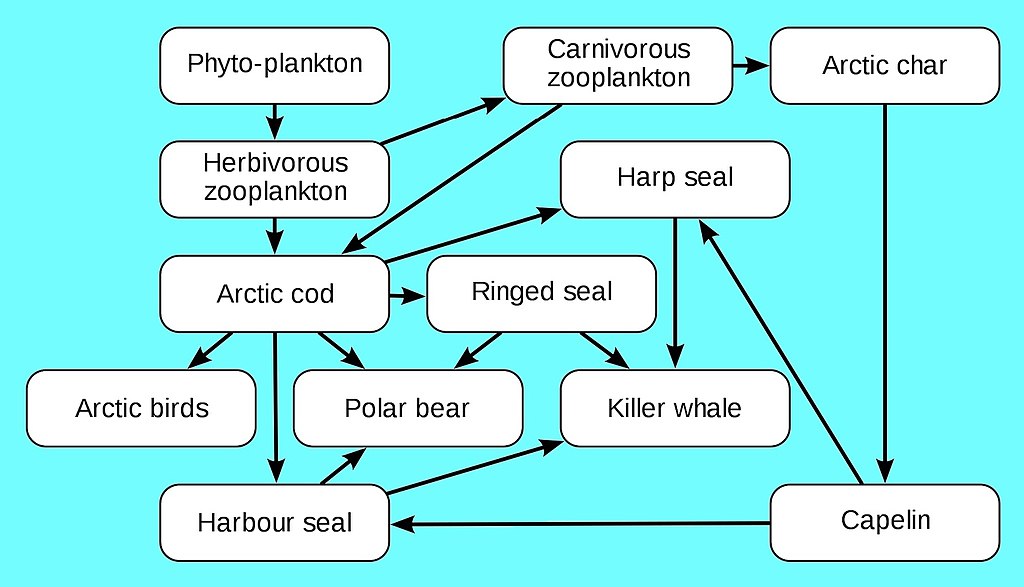 DNA_paternity_testing_pedigree_chart