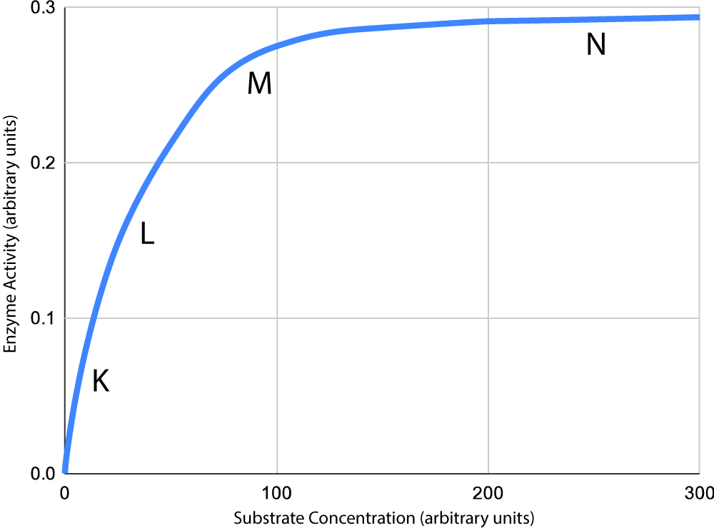 graph enzyme activity with substrate concentration