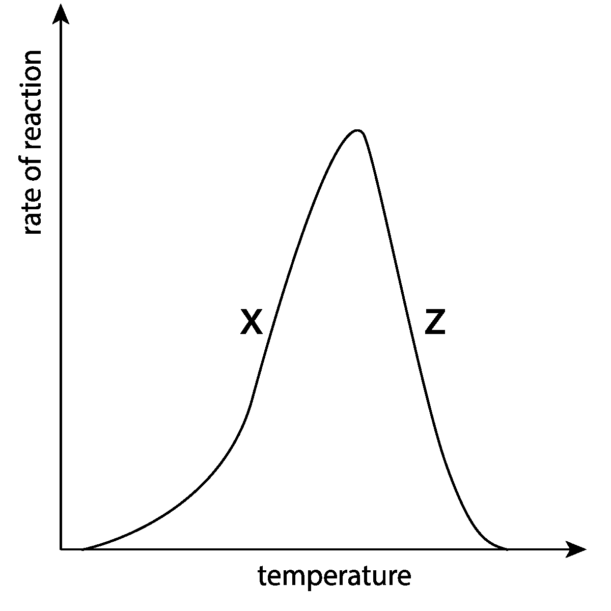 graph showing the effect of temperature on rate of reaction involving enzymes