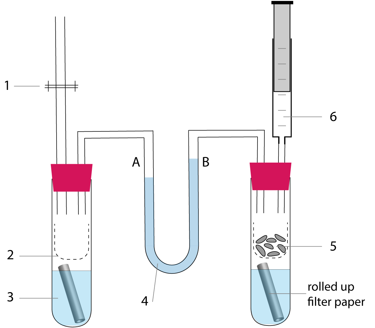 lava respiration experiment full diagram