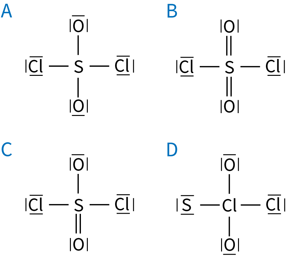 4 x structure of monomer