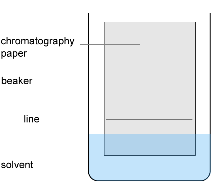 chromatography experiment