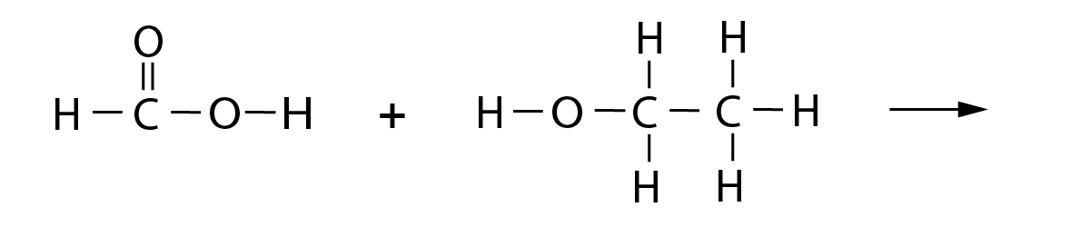 methanoic ecid + ethanol structure