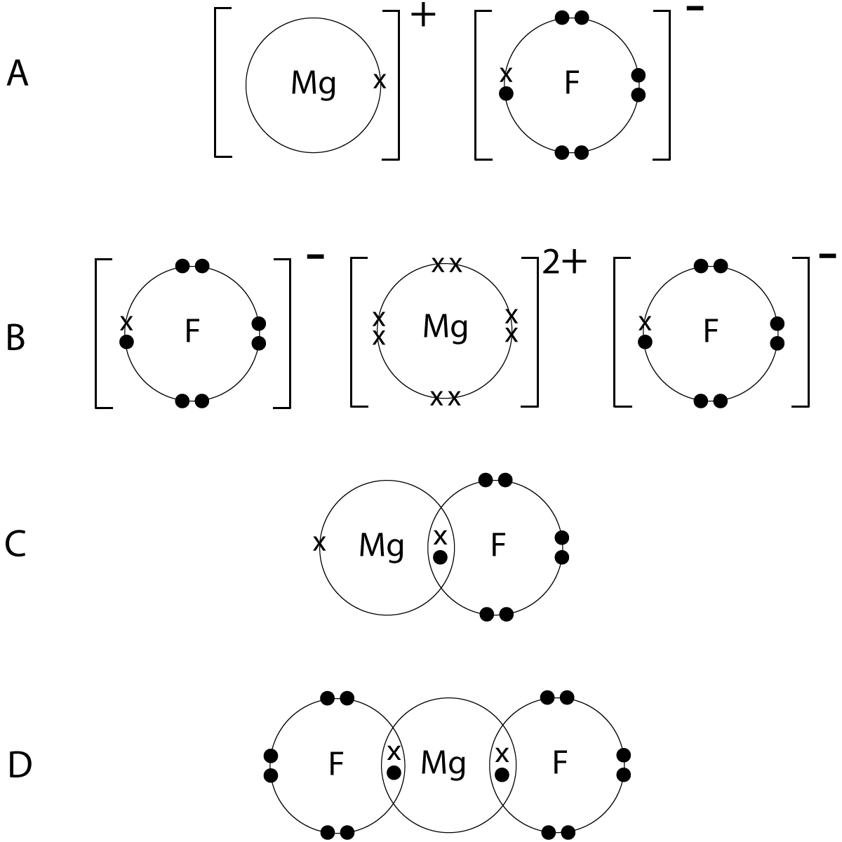Magnesium Fluoride dot and cross diagram