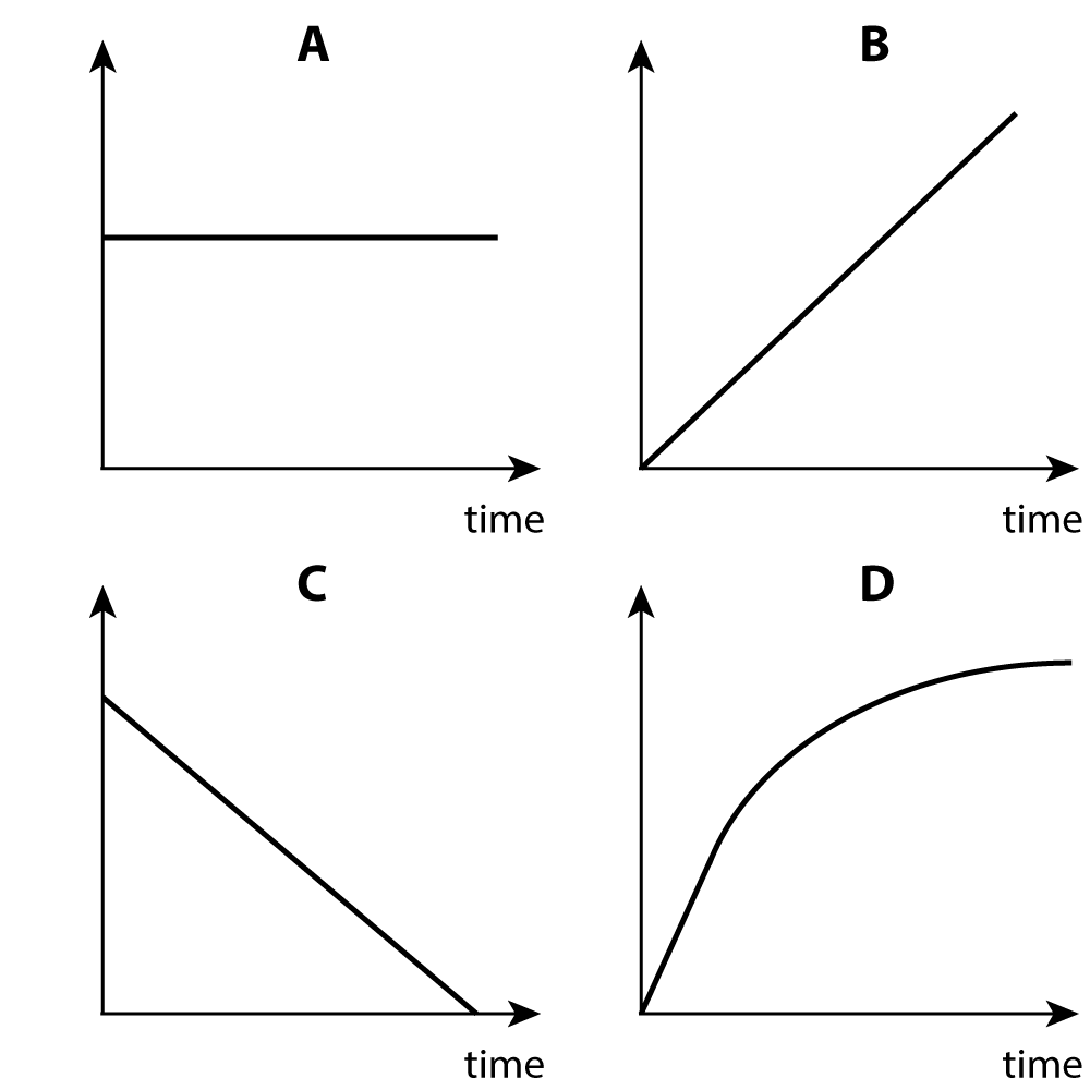 Linear Motion Graph