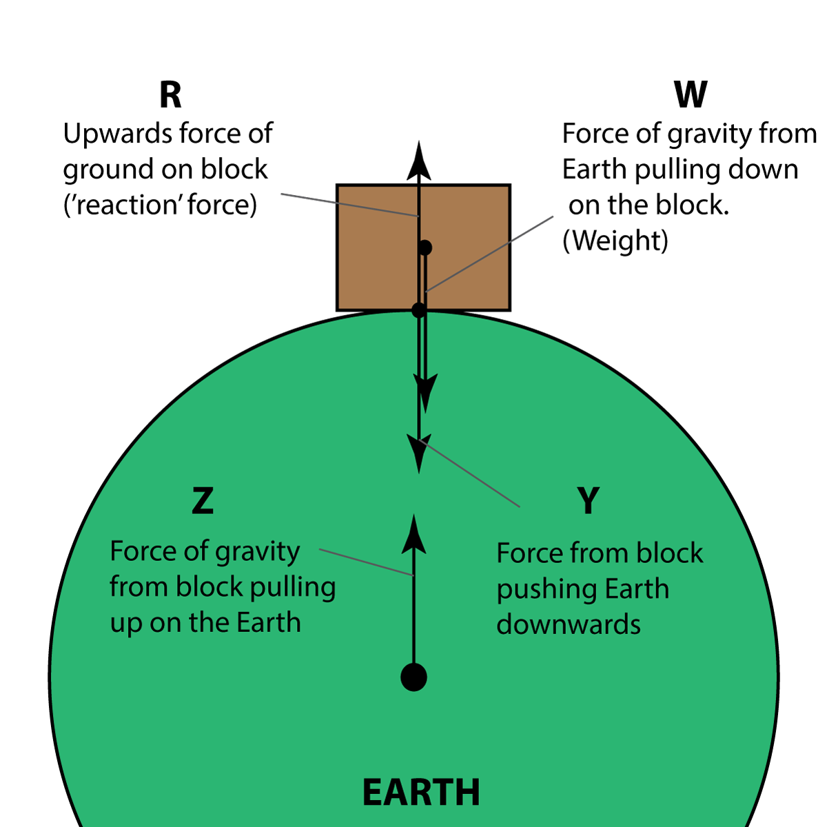 Block on Earth - newton pairs of forces